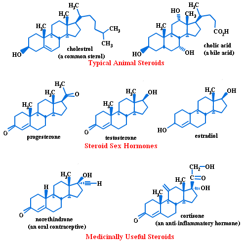 different-forms-of-steroids