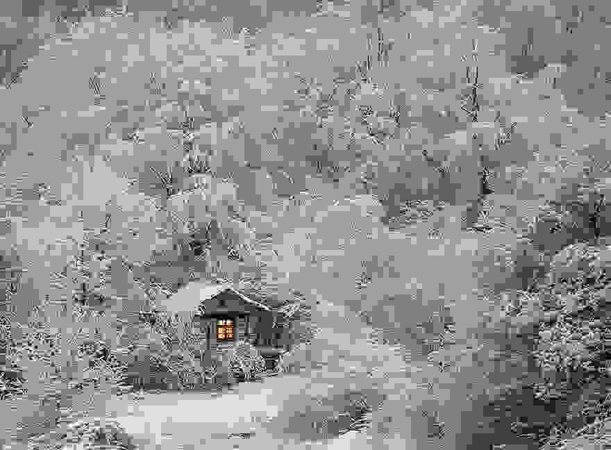 tiny-house-fairytale-nature-landscape-photography-25__880.jpg