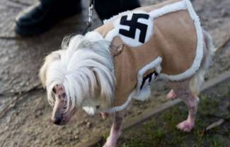 Χάιλ Άλμπερτ: Ναζιστής έφτιαξε “παλτό Ες Ες” για το σκύλο του για να “παρελαύνουν” μαζί!