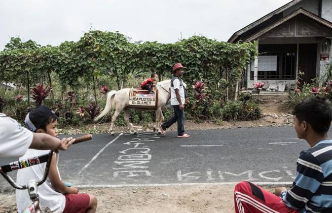 Ένα άλογο - κινητή βιβλιοθήκη, κατά του αναλφαβητισμού στην Ινδονησία