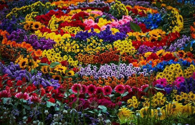 Ένας κύκλος με 10.000 λουλούδια