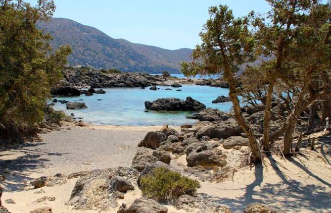 Kρήτη, Κεδρόδασος. Ένας μικρός παράδεισος με λευκή άμμο και διάφανα νερά