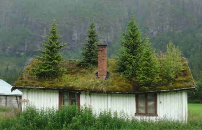 Πράσινες στέγες σκανδιναβικών σπιτιών