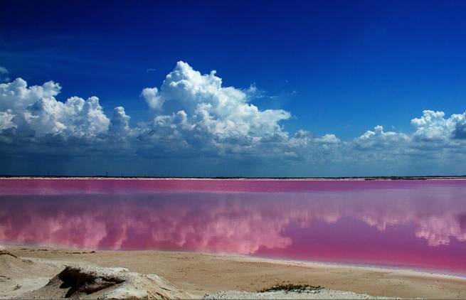 Η απόκοσμη ροζ ομορφιά της λίμνης Ría Lagartos στο Μεξικό