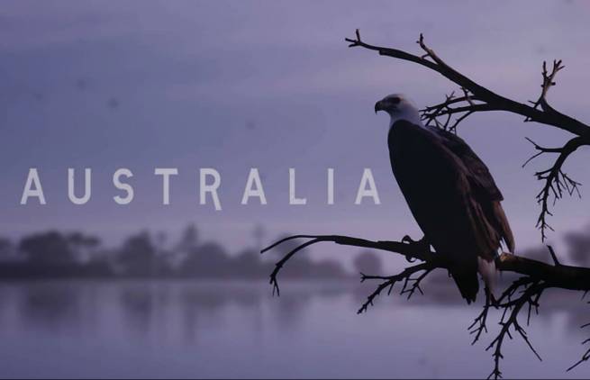 Αυστραλία: Με τα μάτια του αετού (video)