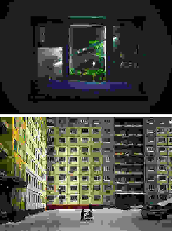 001195146