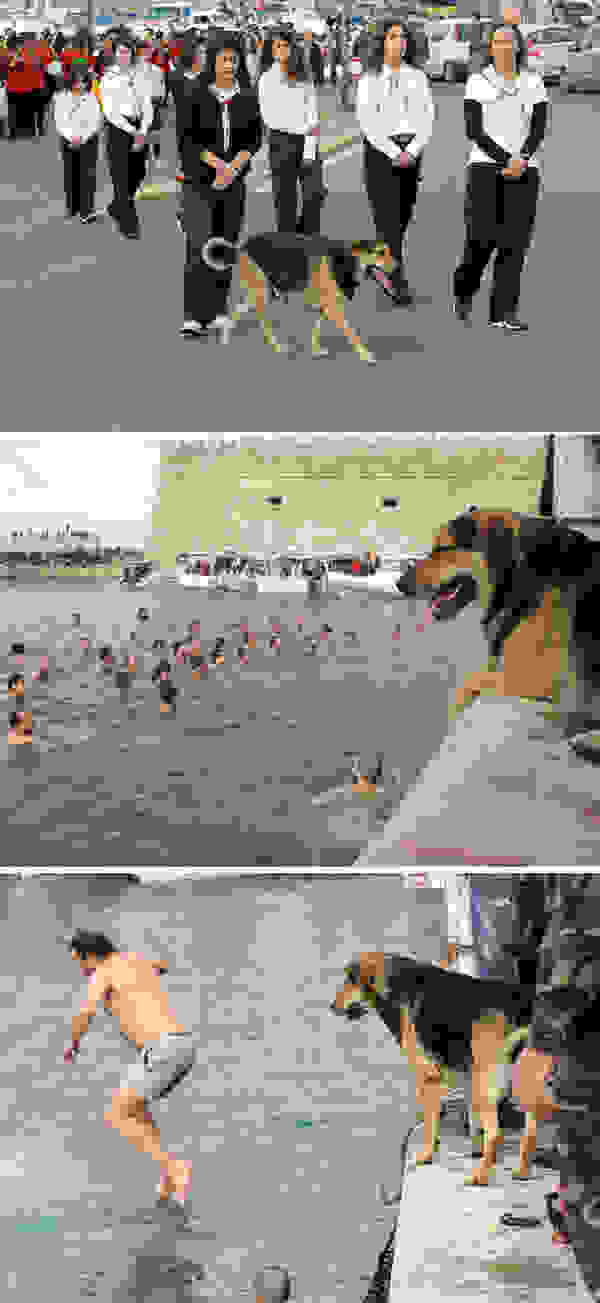 00201006