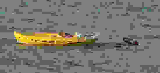 00article-2188373-148c4214 634x394