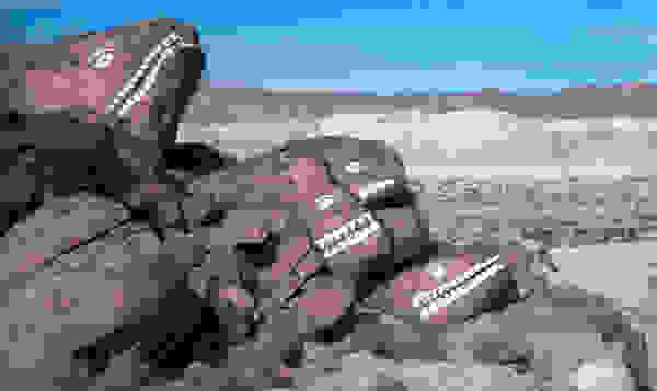 00mstvdsdmm27