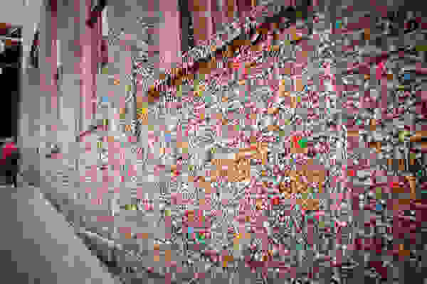 00mstvdsdmm5
