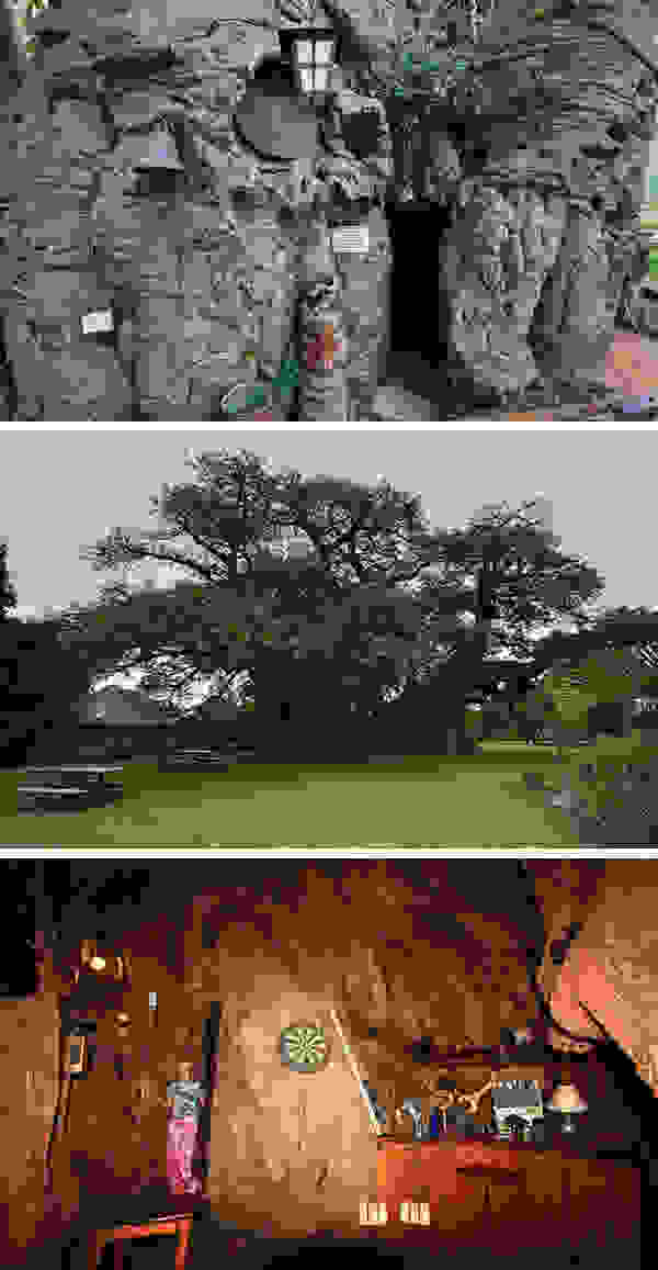 01baobab