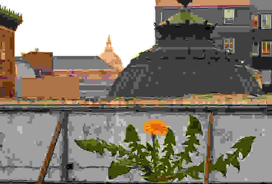04-Mural-and-Photo-by-Mona-Caron_5296a2__880.jpg