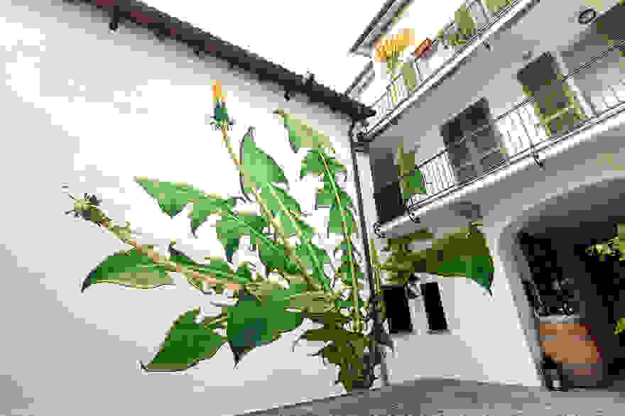 07-Mural-and-Photo-by-Mona-Caron 3198c2  880