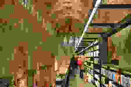 076ffaf02 b