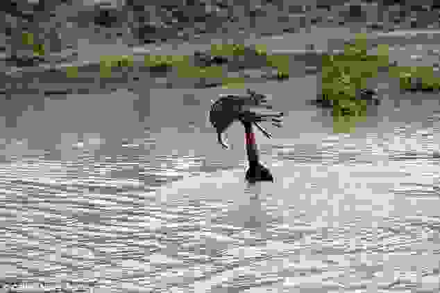 0article-2552923-1B3BDCCD00000578-914 634x423