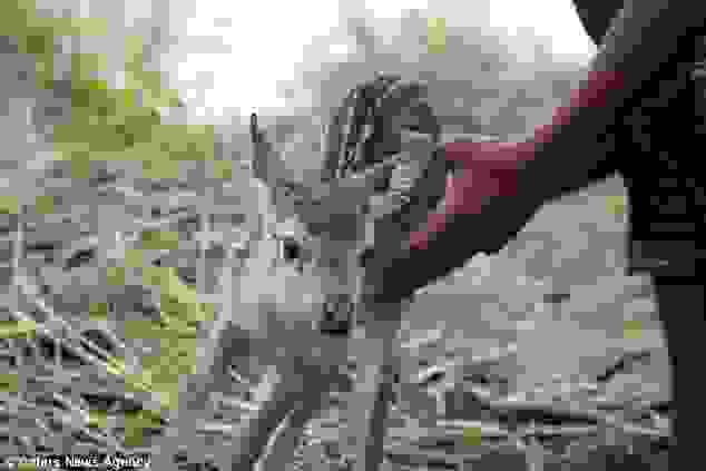 0article-2552923-1B3BDCE900000578-558 634x423
