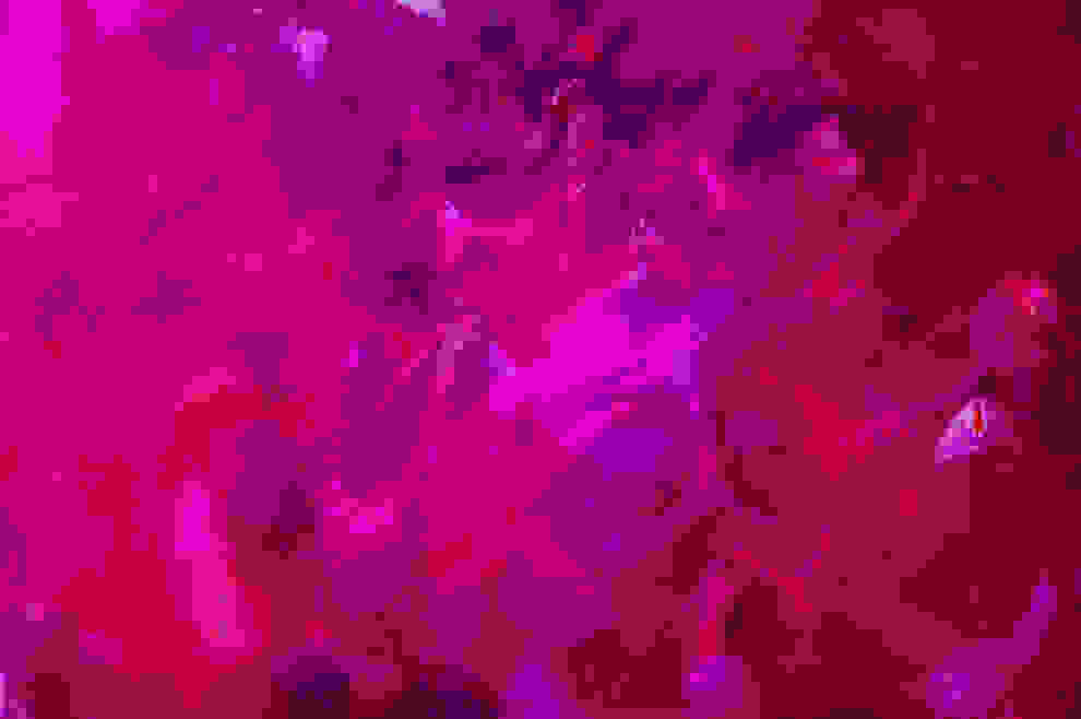 0bp19