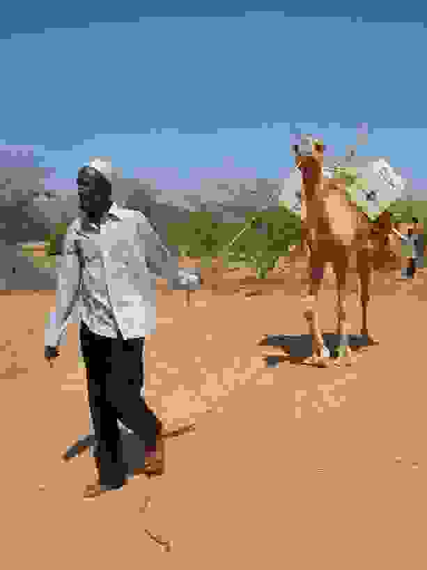 0camel-books