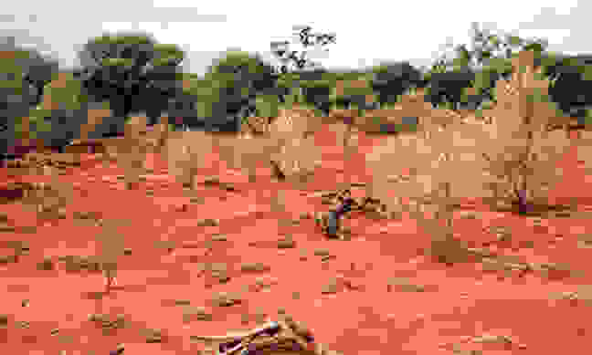 0casffwertrtrtgry6
