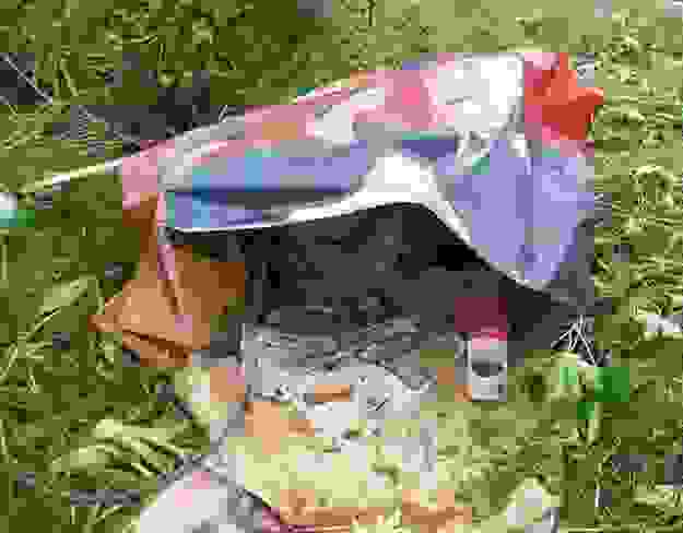 0davi1