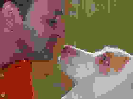 0davi10