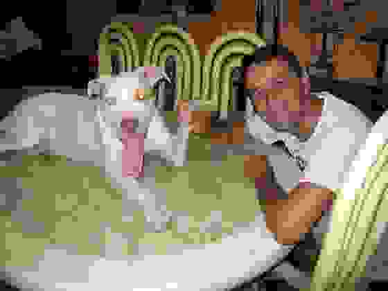 0davi7