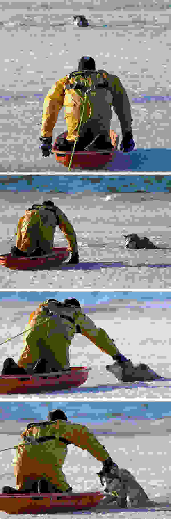 0hasky