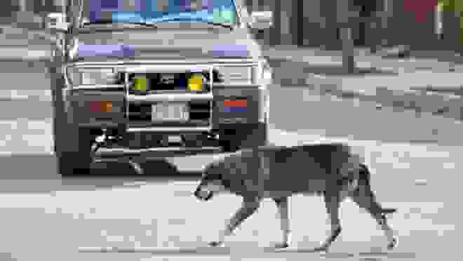 0hatci