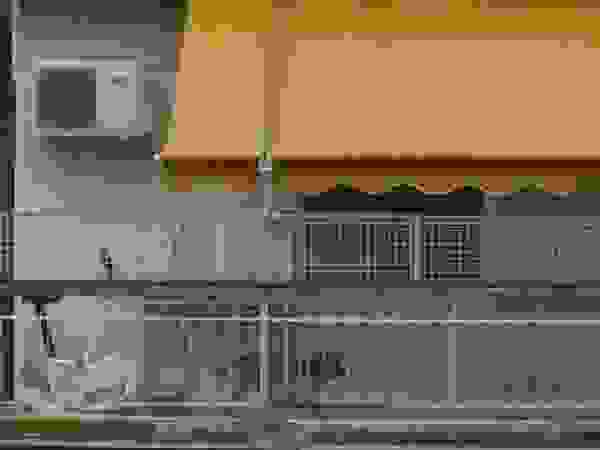 0imagetorie