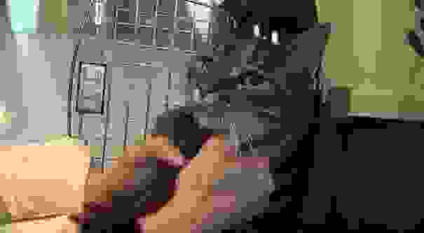 0ptisewn-07