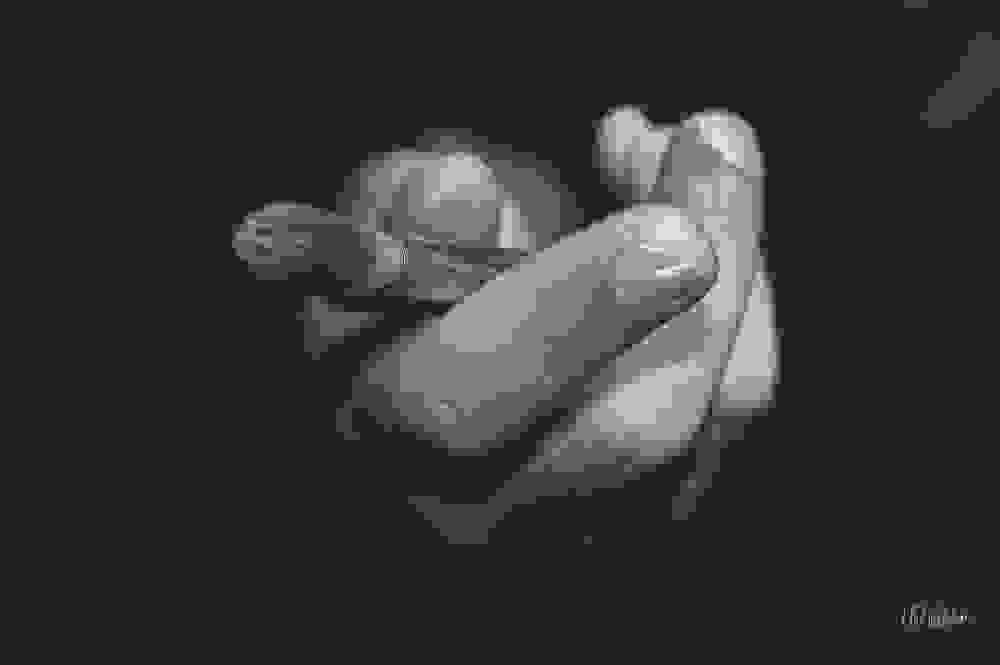 1.art