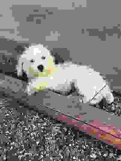 10614267_10203752277705246_7804532775016737481_n.jpg