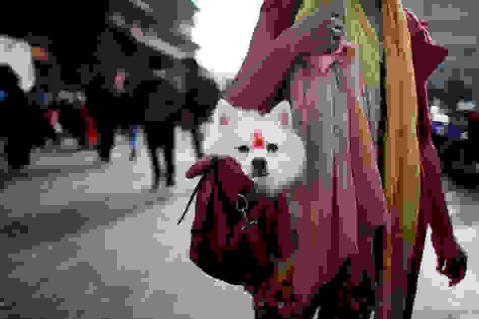 110305.jpg
