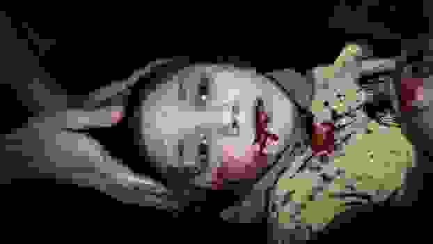 11xroni.jpg