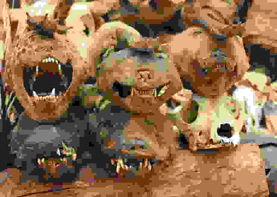 1384133529.jpg.CROP.promo-large2.jpg