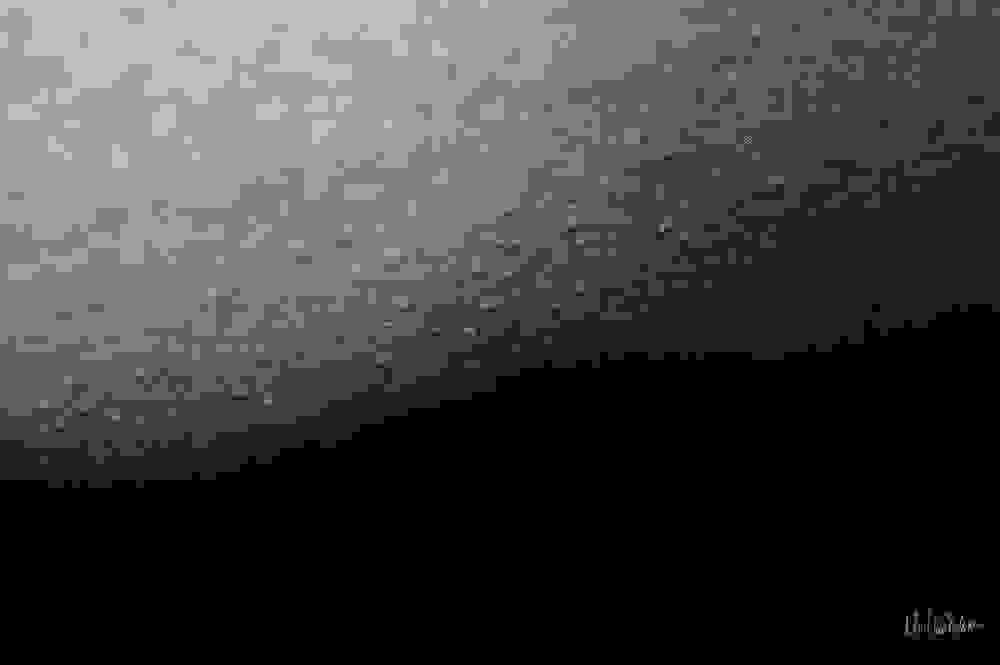 15.dermis