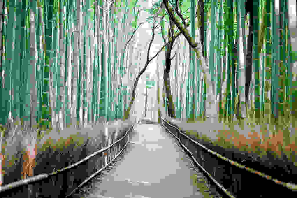 5083566013_677d6aa355_b.jpg