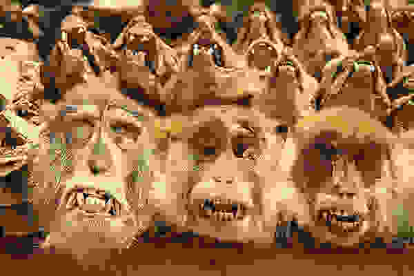 Akodessewa016a.jpg