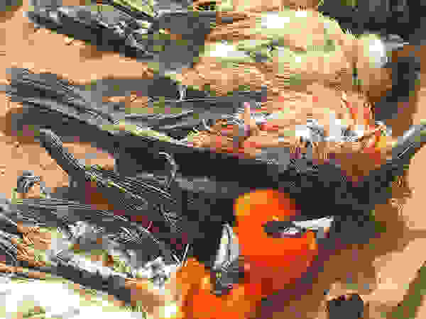 Akodessewa017a.jpg