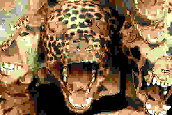 Akodessewa023a.jpg