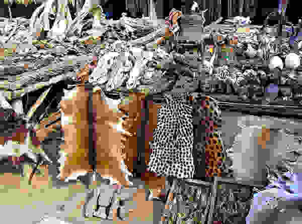 Akodessewa030a.jpg