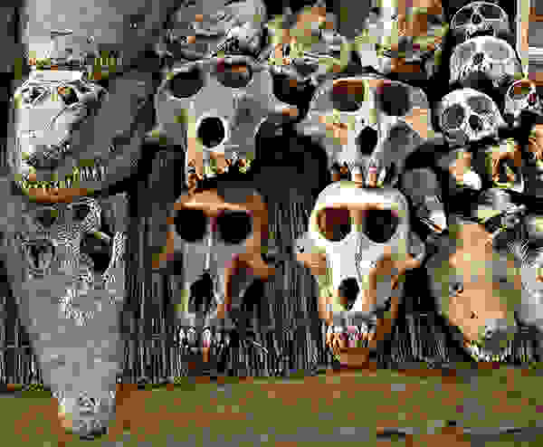 Akodessewa03a.jpg