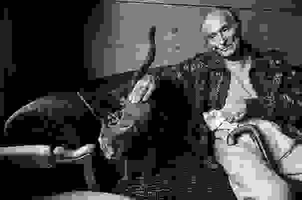 Balthus-cats-19.jpg