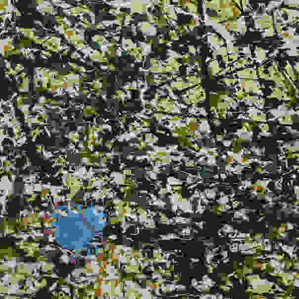 Big-Art-for-small-Connoisseurs3__605.jpg