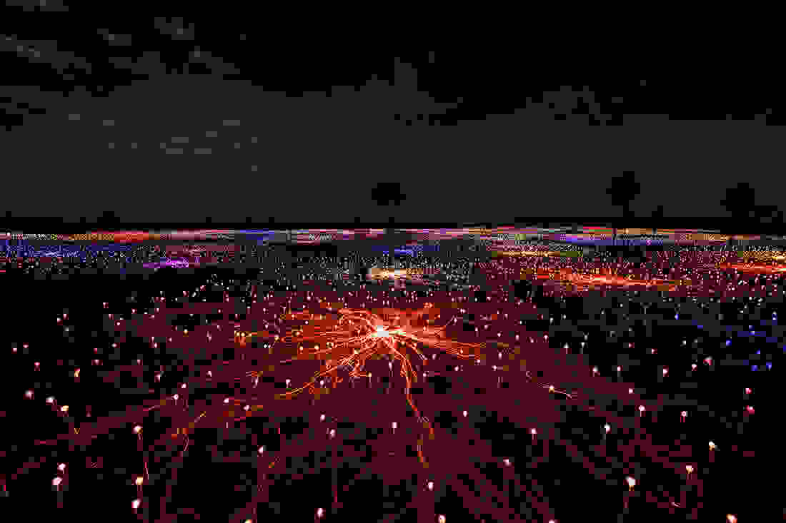Bruce-Munro0.jpg