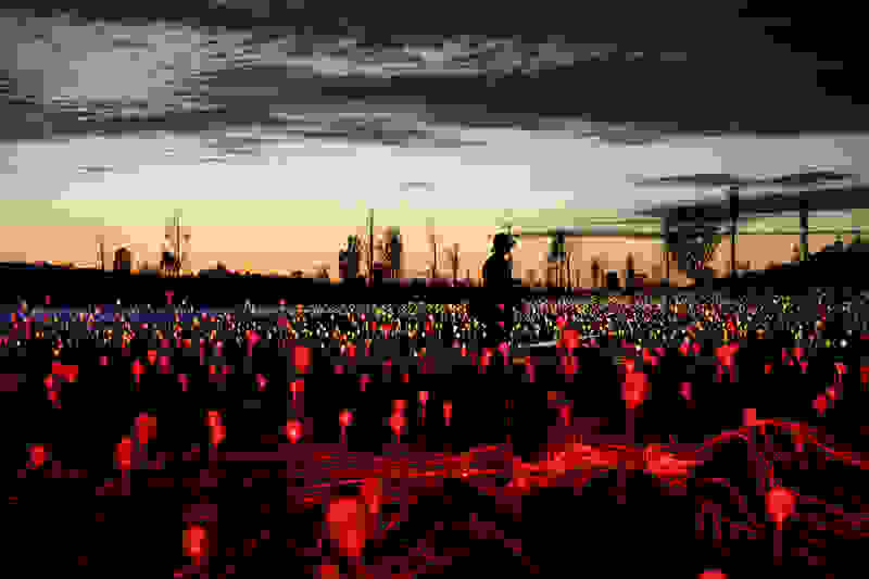 Bruce-Munro3.jpg