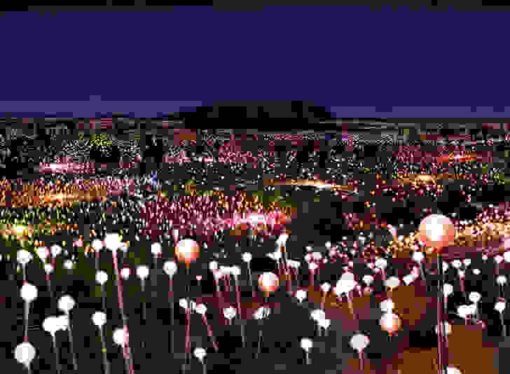 Bruce-Munro4.jpg