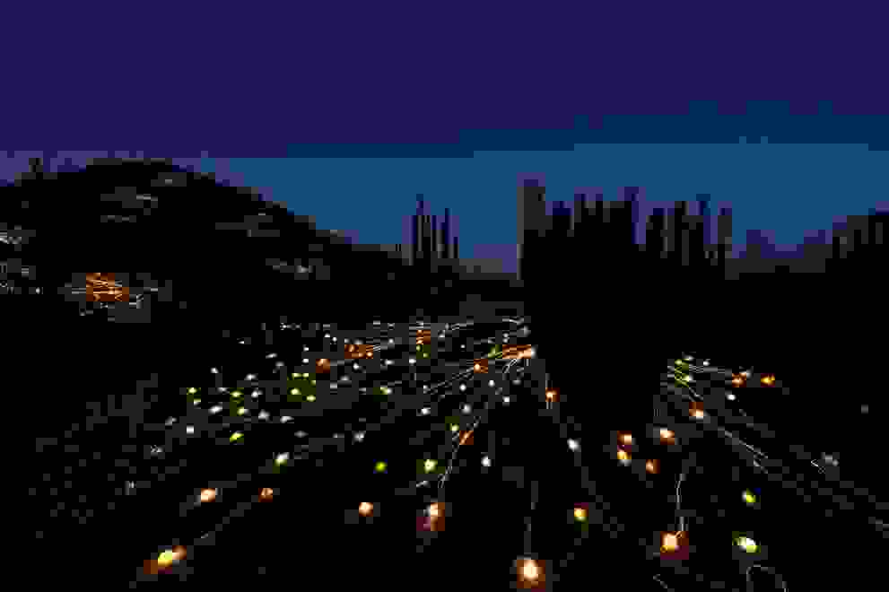 Bruce-Munro5.jpg
