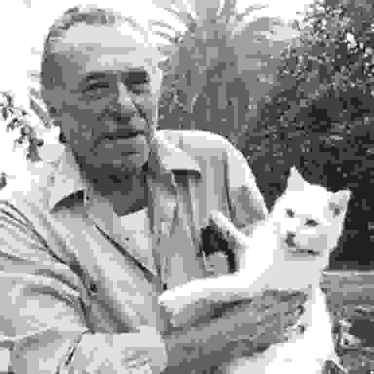 BukowskiCat92.jpg