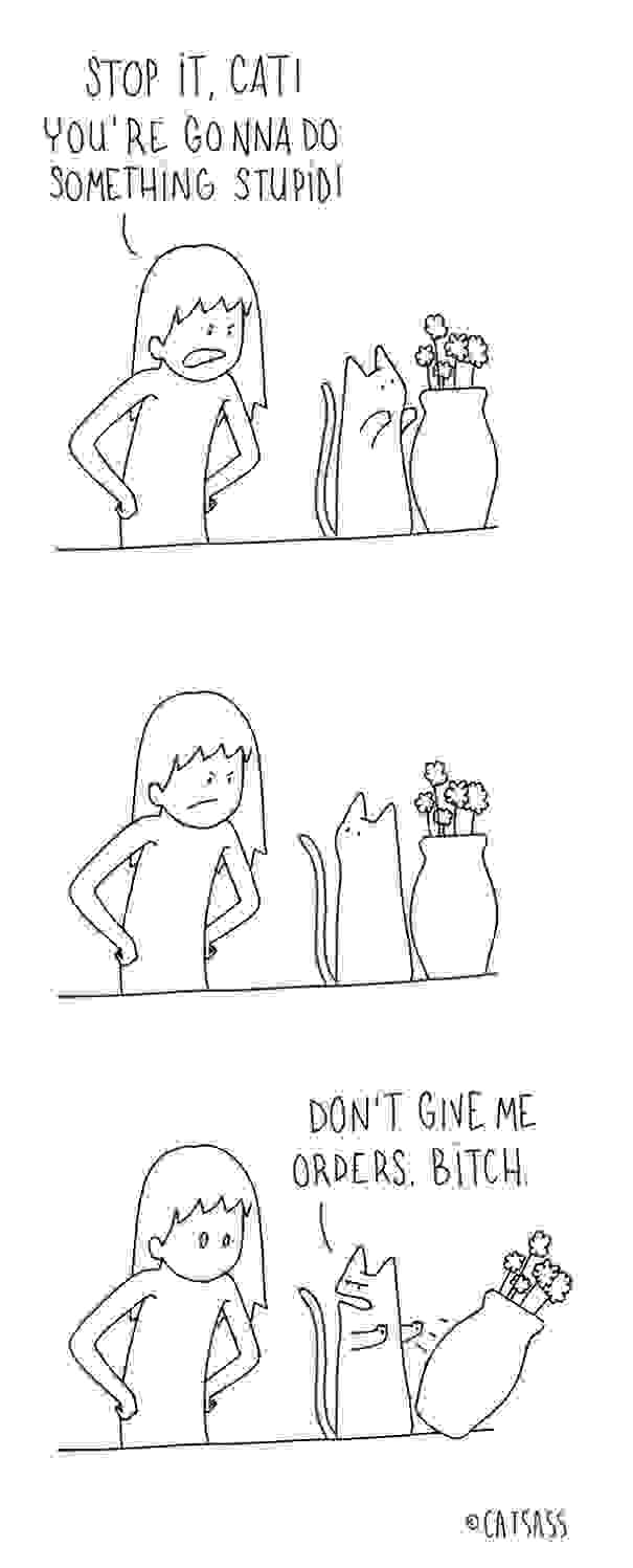Catsass-Me-my-pet-human-and-myself4.jpg